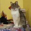 Отзыв от Альбина Короткова